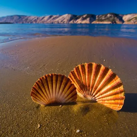 In With Seaview, Terrace, Air Condition, Wifi *